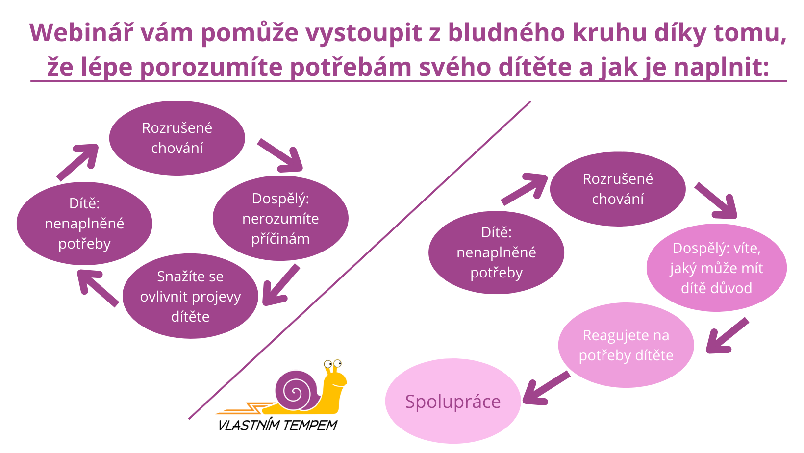 kruhový diagram