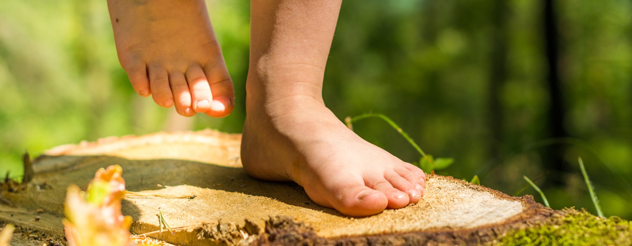 Bare feet in the woods
